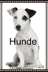 Hunde
