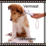 Vermisst / Gefunden