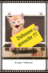 Zuhause gesucht